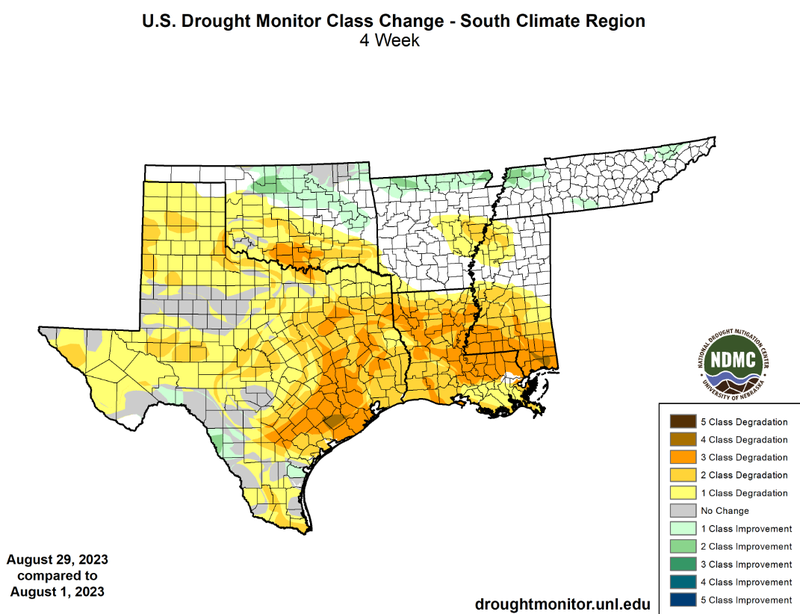 U.S Drought Monitor Class Change Map for August, Southern Climate Region