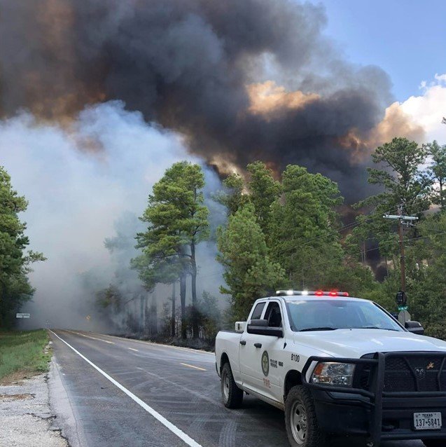 Photo of wildfire burning in Walker County, TX