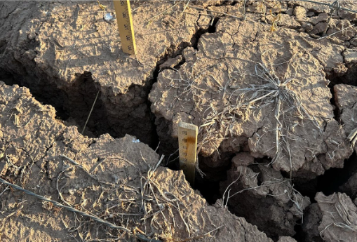 Photo showing deep cracks in the ground