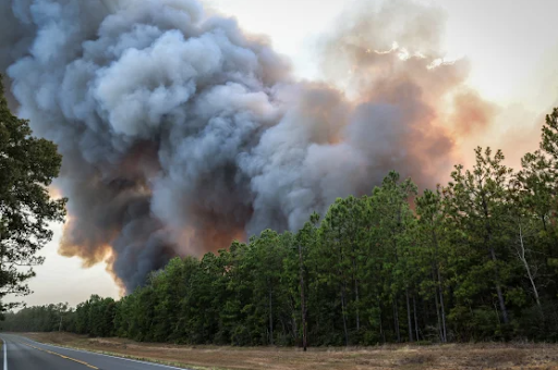 Fire burning in Louisiana