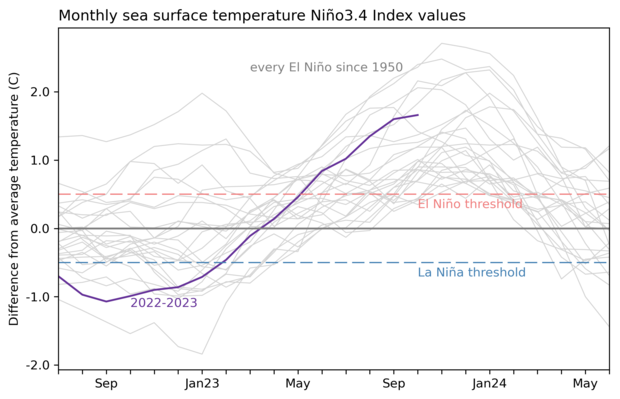 Graph displaying monthly sea surface temperatures